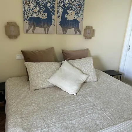Beach Apartment Patalavaca 公寓